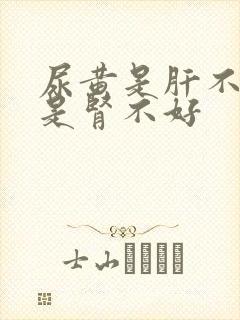 尿黄是肝不好还是肾不好封面