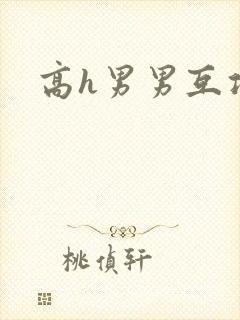 高h男男互攻