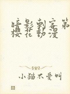 暗影刺客第4季樱花动漫封面