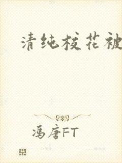 清纯校花被