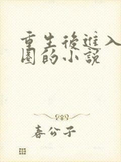 重生后进入娱乐圈的小说