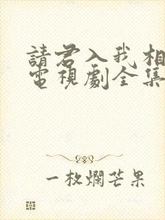 请君入我相思局电视剧全集