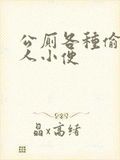 公厕各种偷拍女人小便