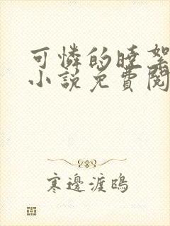 可怜的晓絮系列小说免费阅读
