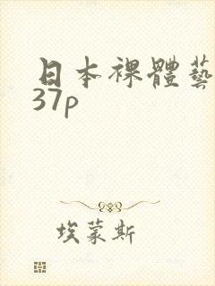 日本裸体艺术337p封面