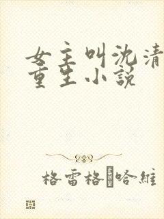 女主叫沈清婉的重生小说