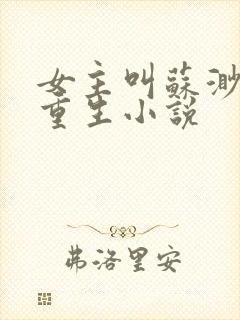 女主叫苏渺渺的重生小说
