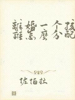 离婚一个孩子归谁怎么分配封面