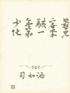 少年骇客最终进化第一季免费观看