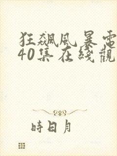 狂飙风暴电视剧40集在线观看免费