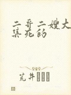 二哥二嫂大壮几集死的