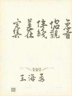 完美伴侣免费全集在线观看封面