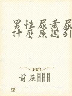 男性尿黄尿疼是什么原因引起的