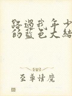 路过我年少时光的蓝色大结局