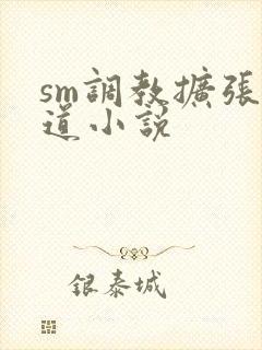 sm调教扩张阴道小说