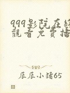 999影院在线观看免费播放电视剧网站封面