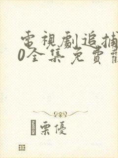 电视剧追捕者40全集免费观看