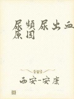 尿频尿出血什么原因