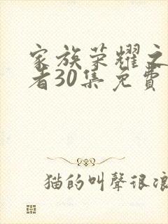 家族荣耀之继承者30集免费
