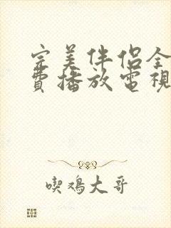 完美伴侣全集免费播放电视剧