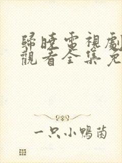 归晓电视剧在线观看全集免费高清