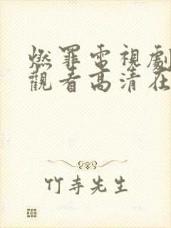 燃罪电视剧免费观看高清在线播放封面