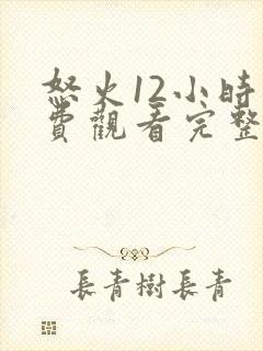 怒火12小时免费观看完整版高清