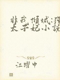 非我倾城:独宠太子妃小说免费阅读