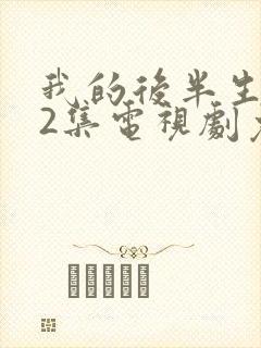 我的后半生全42集电视剧免费播放封面