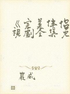 《完美伴侣》电视剧全集免费观看