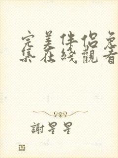 完美伴侣免费全集在线观看封面