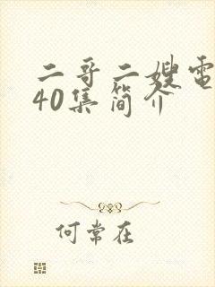 二哥二嫂电视剧40集简介