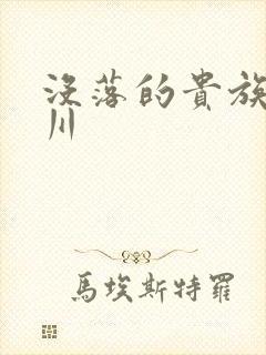 没落的贵族琉璃川封面