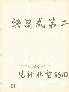 梁思成第二任