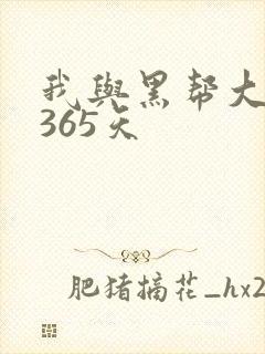 我与黑帮大佬和365天封面