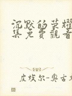 沉默的荣耀33集免费观看全集封面
