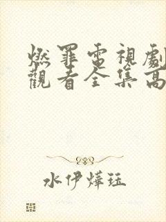 燃罪电视剧免费观看全集高清封面