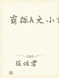 霸总h文小说