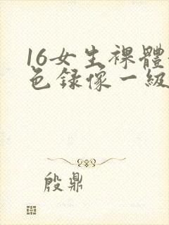 16女生裸体黄色录像一级片