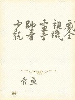 少帅电视剧免费观看手机全集在线播放