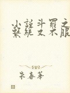 小说斗罗之我的系统又不服气了免费
