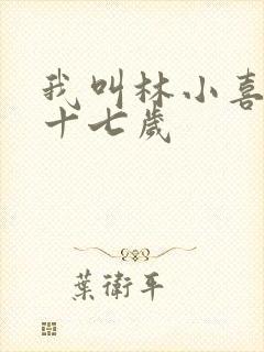 我叫林小喜今年十七岁