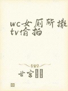 wc女厕所撒尿tv偷拍