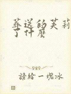 葬送的芙莉莲讲了什么