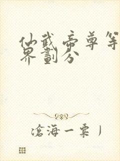 仙武帝尊等级境界划分