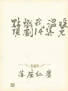 点燃我温暖你电视剧14集免费观看