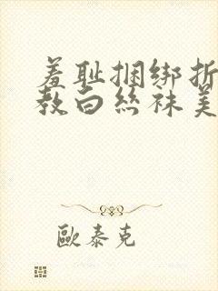 羞耻捆绑折磨调教白丝袜美女的小说