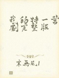 我的特一营电视剧完整版