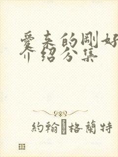 爱来的刚好剧情介绍分集