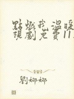 点燃我温暖你电视剧免费11集